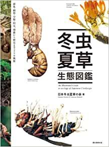 ダウンロード  冬虫夏草生態図鑑: 採集・観察・分類・同定、効能から歴史まで 240種類 本