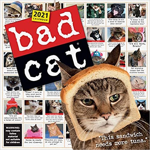 ダウンロード  Bad Cat 2021 Calendar 本