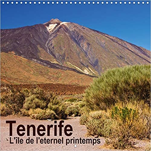 indir Tenerife - L&#39;île de l&#39;eternel printemps (Calendrier mural 2021 300 × 300 mm Square): Un voyage photographique sur l&#39;île de Tenerife (Calendrier mensuel, 14 Pages ) (CALVENDO Places)