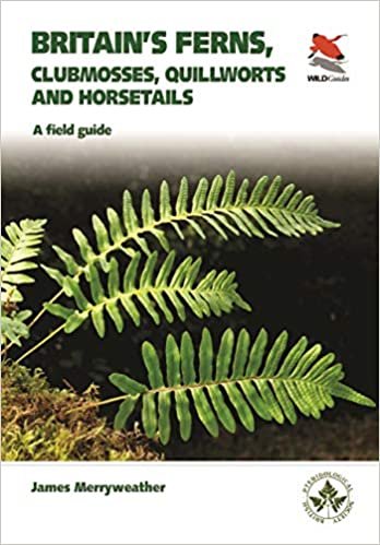 Britain's Ferns: A Field Guide to the Clubmosses, Quillworts, Horsetails and Ferns of Great Britain and Ireland (WILDGuides) ダウンロード