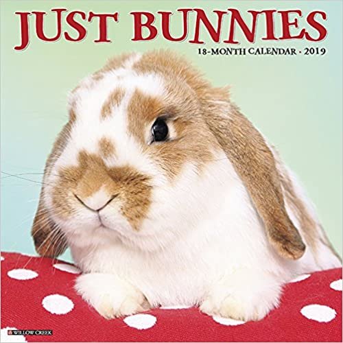 Just Bunnies 2019 Calendar