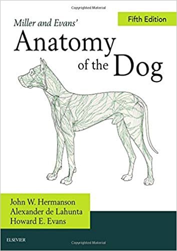 ダウンロード  Miller's Anatomy of the Dog, 5e 本