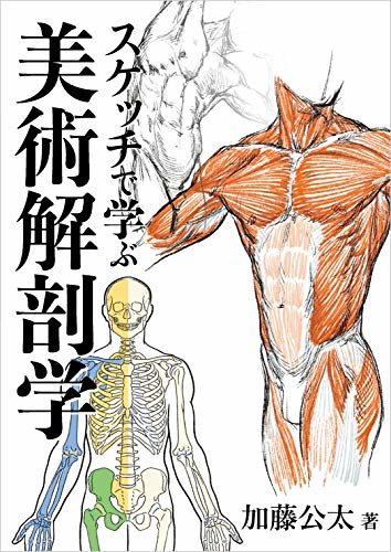 ダウンロード  スケッチで学ぶ美術解剖学 本