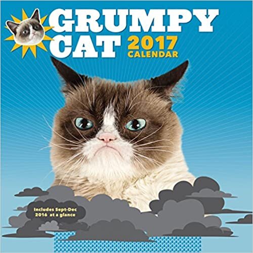 Grumpy Cat 2017 Wall Calendar (Calendars 2017)