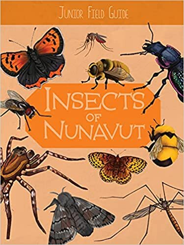 تحميل Junior Field Guide: Insects of Nunavut: English Edition