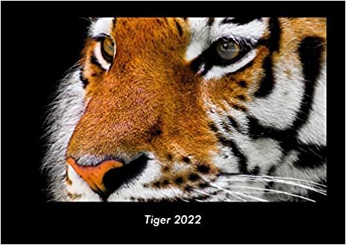 Tiger 2022 Fotokalender DIN A3: Monatskalender mit Bild-Motiven von Haustieren, Bauernhof, wilden Tieren und Raubtieren ダウンロード