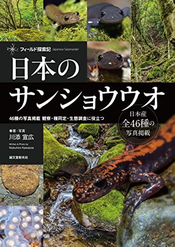 日本のサンショウウオ：46種の写真掲載　観察・種同定・生態調査に役立つ (フィールド探索記)