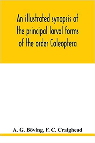 indir An illustrated synopsis of the principal larval forms of the order Coleoptera