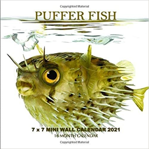 indir Puffer Fish 7 x 7 Mini Wall Calendar 2021: 16 Month Calendar