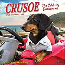 ダウンロード  Crusoe the Celebrity Dachshund 2022 Wall Calendar 本