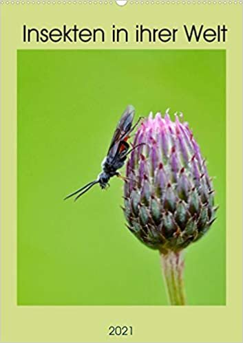 ダウンロード  Insekten in ihrer Welt (Wandkalender 2021 DIN A2 hoch): Freigestellte Insektenportraits fotografiert im Makromodus (Monatskalender, 14 Seiten ) 本