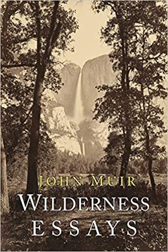indir Wilderness Essays