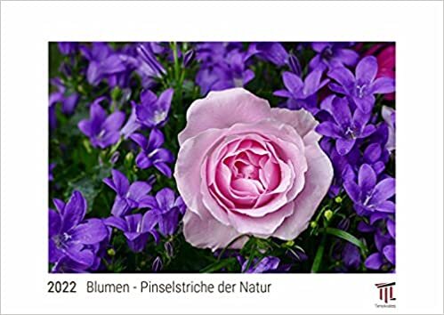 ダウンロード  Blumen - Pinselstriche der Natur 2022 - White Edition - Timokrates Kalender, Wandkalender, Bildkalender - DIN A3 (42 x 30 cm) 本