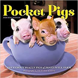 Pocket Pigs 2020 Calendar: The Famous Teacup Pigs of Pennywell Farm ダウンロード
