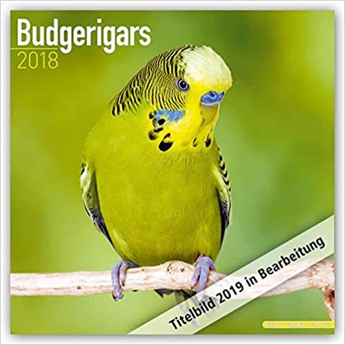 ダウンロード  Budgerigars 2021 Wall Calendar 本