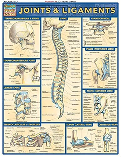 ダウンロード  Joints and Ligaments (Quick Study Academic) 本