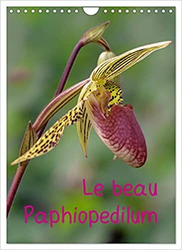 ダウンロード  Le beau Paphiopedilum (Calendrier mural 2023 DIN A4 vertical): Portraits floraux de ce merveilleux type d'orchidées (Organiseur, 14 Pages ) 本