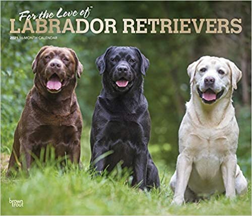 ダウンロード  For the Love of Labrador Retrievers 2021 Calendar: Foil Stamped Cover 本