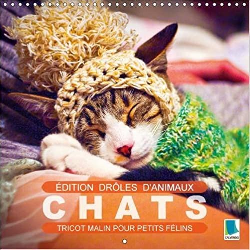 Edition droles d'animaux : chats - tricot malin pour petits felins 2016: Jeux de n uds et de pelote : faire du tricot avec des chats (Calvendo Animaux) indir