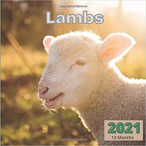 ダウンロード  Lambs 2021: 12 Month with Holidays Adorable Fluffy Baby Sheep 本