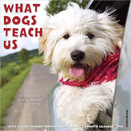 What Dogs Teach Us 2020 Calendar