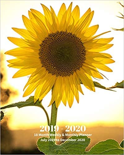 2019 - 2020 | 18 Month Weekly & Monthly Planner July 2019 to December 2020: Yellow Sunflower Wildflower Garden Vol. 4 Monthly Calendar with U.S./UK/ ... Holidays– Calendar in Review/Notes 8 x 10 in. indir
