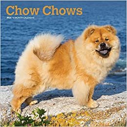 ダウンロード  Chow Chows 2020 Calendar 本