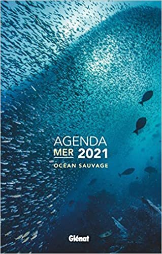 Agenda mer 2021: Océan sauvage