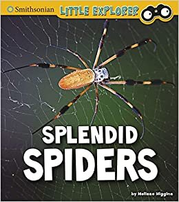 تحميل Splendid Spiders