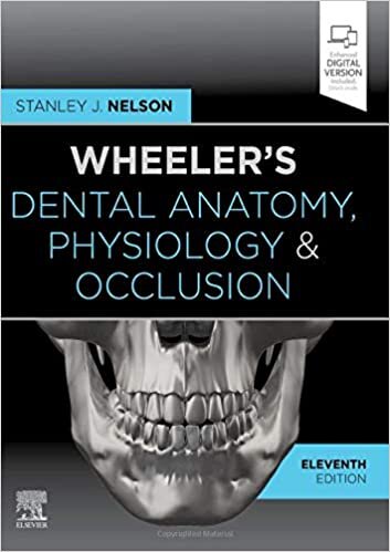 indir Wheeler&#39;s Dental Anatomy, Physiology and Occlusion