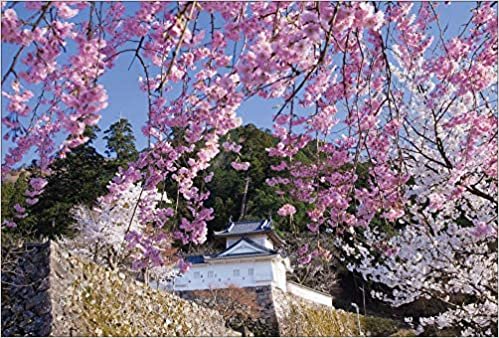 ダウンロード  【Amazon.co.jp 限定】桜咲く出石城 ポストカード3枚セット P3-145 本
