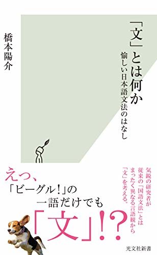 ダウンロード  「文」とは何か～愉しい日本語文法のはなし～ (光文社新書) 本