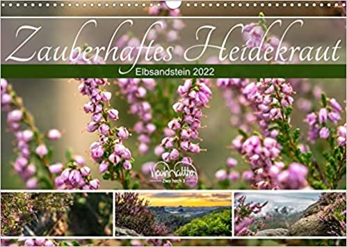 ダウンロード  Zauberhaftes Heidekraut - Elbsandstein (Wandkalender 2022 DIN A3 quer): Das Heidekraut bringt Farbe in jede Landschaft. (Geburtstagskalender, 14 Seiten ) 本