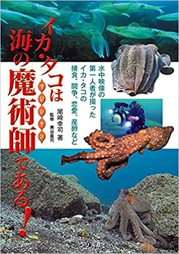 ダウンロード  イカ・タコは海の魔術師である! (水中映像の第一人者が撮ったイカ・タコの捕食・闘争・恋愛・産卵など) 本