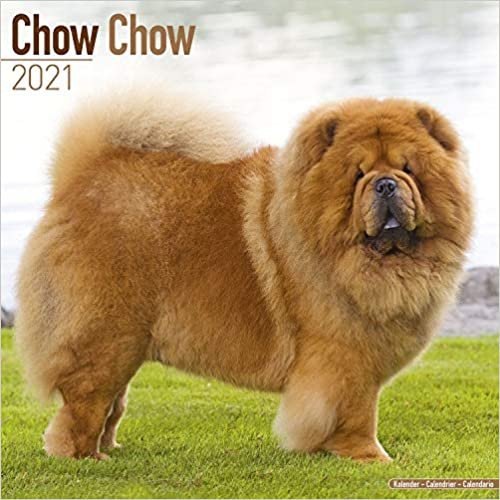 Chow Chow 2021 Wall Calendar