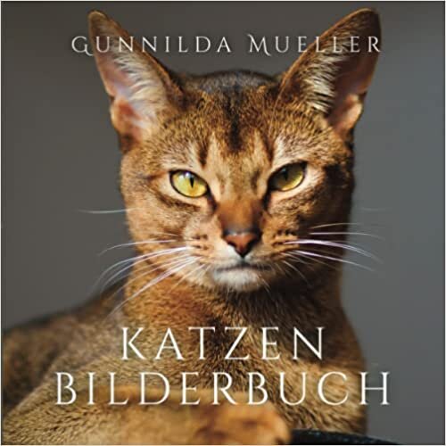 اقرأ Katzen Bilderbuch: Demenz Beschäftigung für Senioren mit Demenzkranke und Alzheimer. Kein Text (German Edition) الكتاب الاليكتروني 