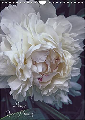 Peony - Queen of Spring (Wall Calendar 2023 DIN A4 Portrait): Perfect gift for flower lovers (Monthly calendar, 14 pages ) ダウンロード