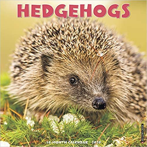 ダウンロード  Hedgehogs 2020 Calendar 本