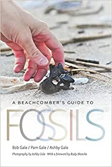 تحميل A Beachcomber&#39;s Guide to Fossils