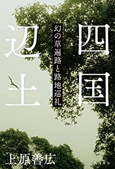 四国辺土　幻の草遍路と路地巡礼 (角川書店単行本)