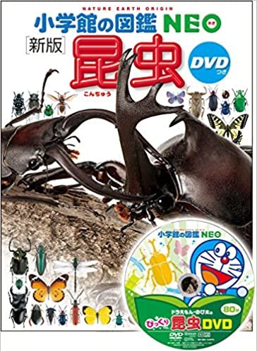 ダウンロード  DVD付 新版 昆虫 (小学館の図鑑 NEO) 本