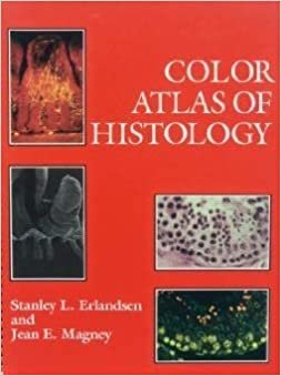 Stanley Erlandsen Color Atlas of Histology تكوين تحميل مجانا Stanley Erlandsen تكوين