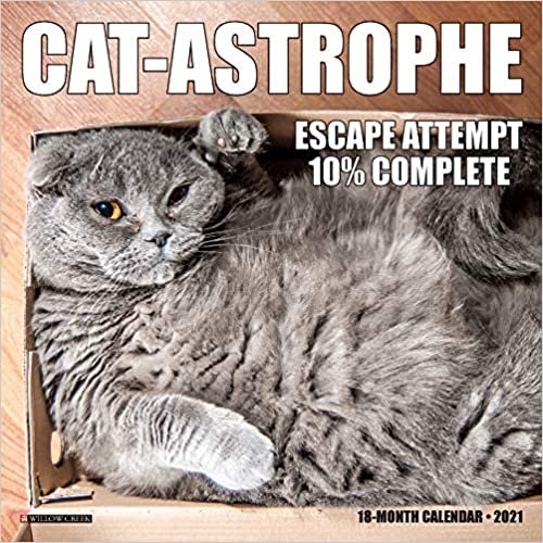 indir Cat-astrophe 2021 Calendar