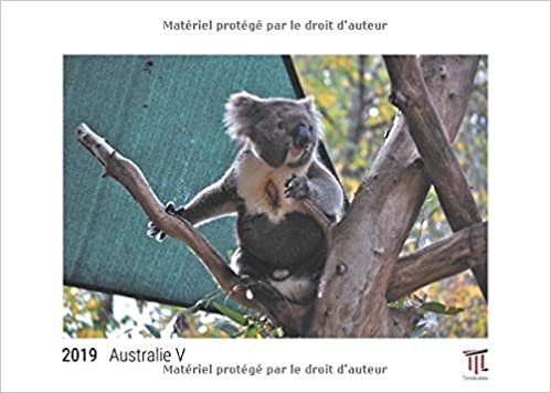 Australie V 2019 - Édition blanche - Calendrier mural Timokrates, calendrier photo, calendrier photo - DIN A3 (42 x 30 cm) indir
