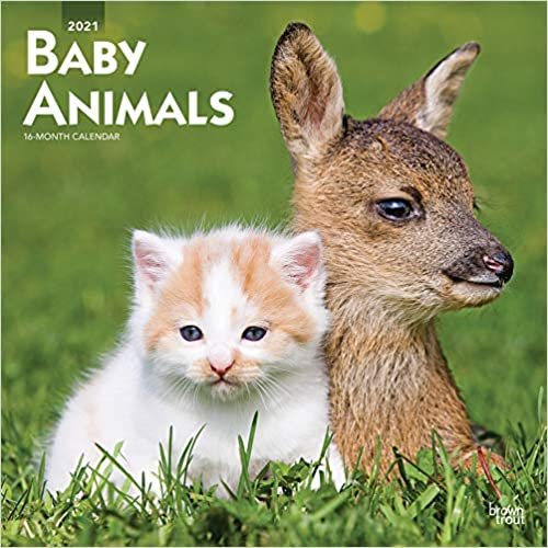 Baby Animals - Tierbabys 2021 - 16-Monatskalender: Original BrownTrout-Kalender [Mehrsprachig] [Kalender] (Wall-Kalender) indir