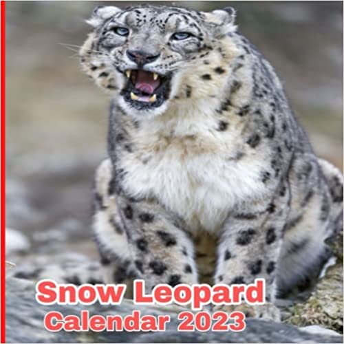 Snow leopard calendar 2023