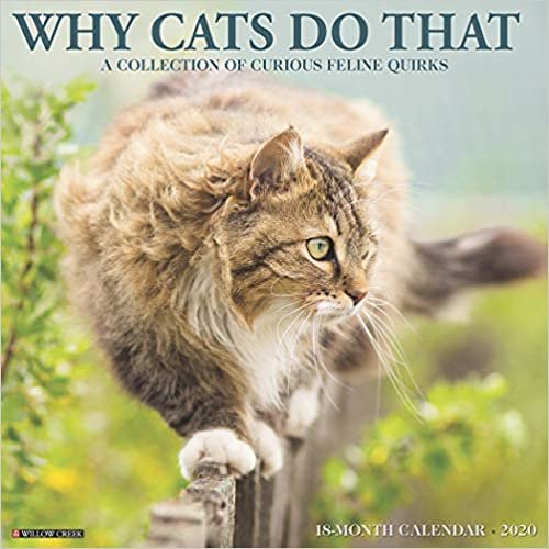 Why Cats Do That 2020 Calendar: A Collection of Curious Feline Quirks