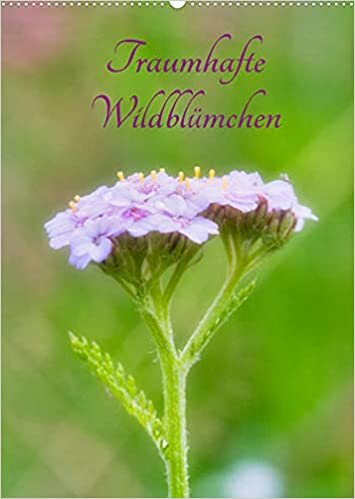 ダウンロード  Traumhafte Wildbluemchen (Wandkalender 2022 DIN A2 hoch): Wildblueten traumhaft fotografiert (Familienplaner, 14 Seiten ) 本