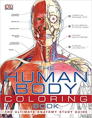 ダウンロード  The Human Body Coloring Book: The Ultimate Anatomy Study Guide 本