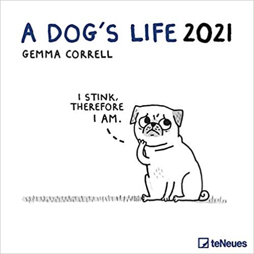 A Dog's Life 2021 - Wand-Kalender - Broschüren-Kalender - 30x30 - 30x60 geöffnet - Hunde indir